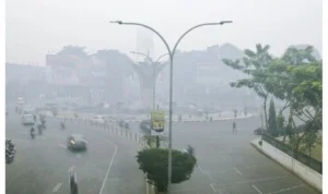 Kabut asap mulai menyelimuti Kota Pontianak dan daerah sekitarnya akibat dari kebakaran hutan dan lahan (karhutla) yang melanda.