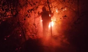 Kawasan TNGC Kuningan Terbakar, BPBD Kuningan Masih Upayakan Pemadaman