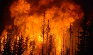 Kebakaran Hutan di Kanada Telah Merembet Hingga Perbatasan Amerika Serikat, Ratusan Hektare Dilahap si Jago Merah!