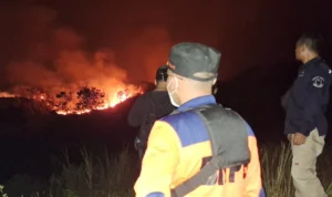 Terjadi Kebakaran Hutan di Gunung Ciremai, Polisi Tengah Lakukan Penyelidikan