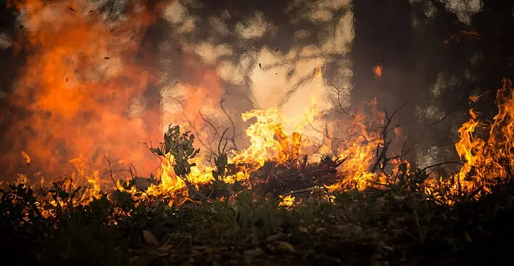 Tragedi Kebakaran Hutan di Hawaii: 36 Orang Tewas, Ribuan Mengungsi