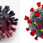 Perbedaan Varian Virus Omicron Dan Eris