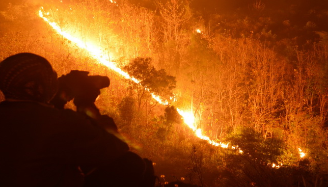 Akibat Kebakaran Hebat Menghanguskan Lahan Hutan Gunung Rinjani