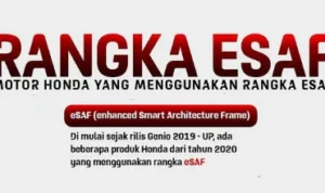 Daftar Motor Honda Rangka eSAF