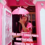 Viral di TikTok Rumah Penggemar Hello Kitty yang Bikin Netizen Ngakak