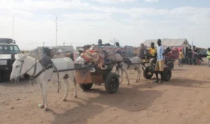 WHO: 40 Percent of Sudan's Population Starving