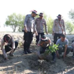 Polres Kupang Tanam 1.000 Mangrove di Pantai Wisata Sulamanda
