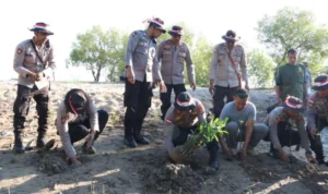 Polres Kupang Tanam 1.000 Mangrove di Pantai Wisata Sulamanda
