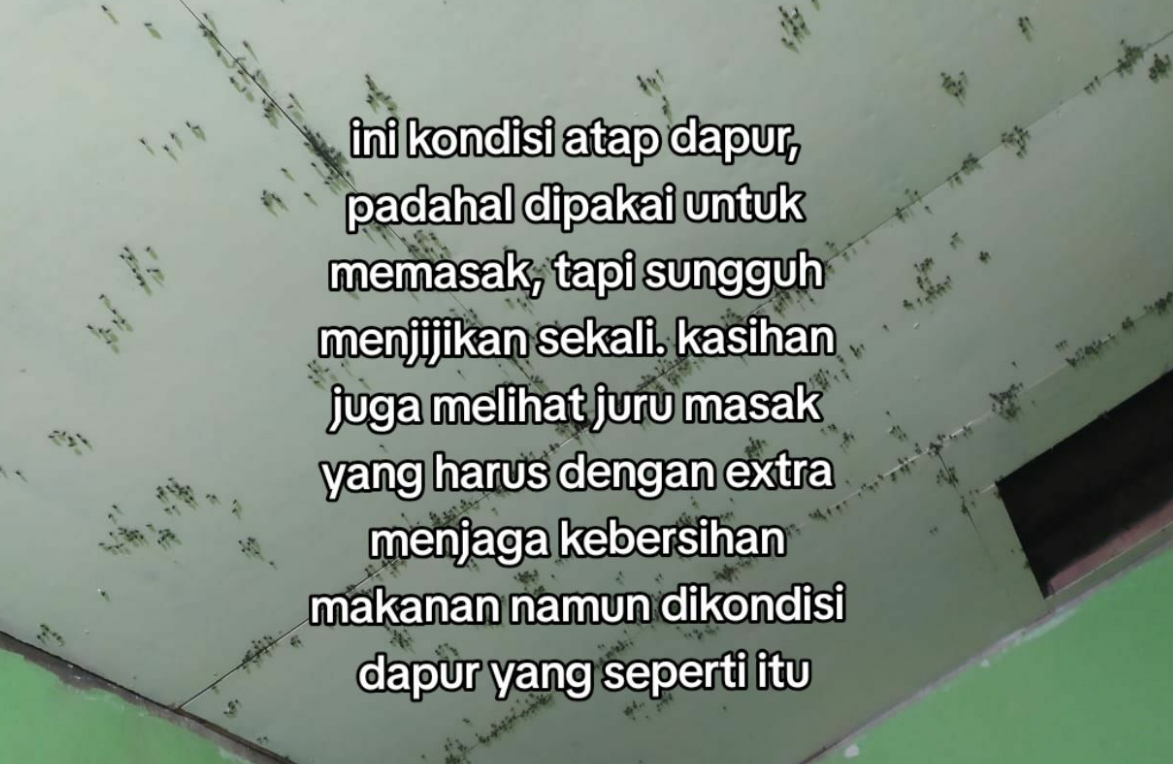 Viral Resepsi Pernikahan yang Terganggu oleh Lalat, Begini Kisahnya!