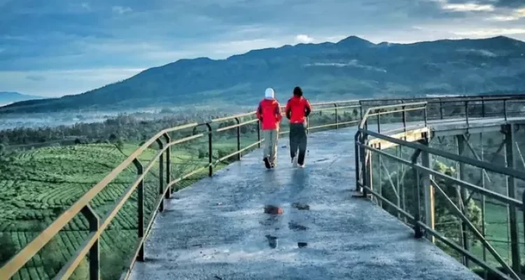 Menaklukkan Keajaiban di Nimo Sky Bridge, Tantangan Berjalan di Atas Jembatan Kaca yang Mempesona