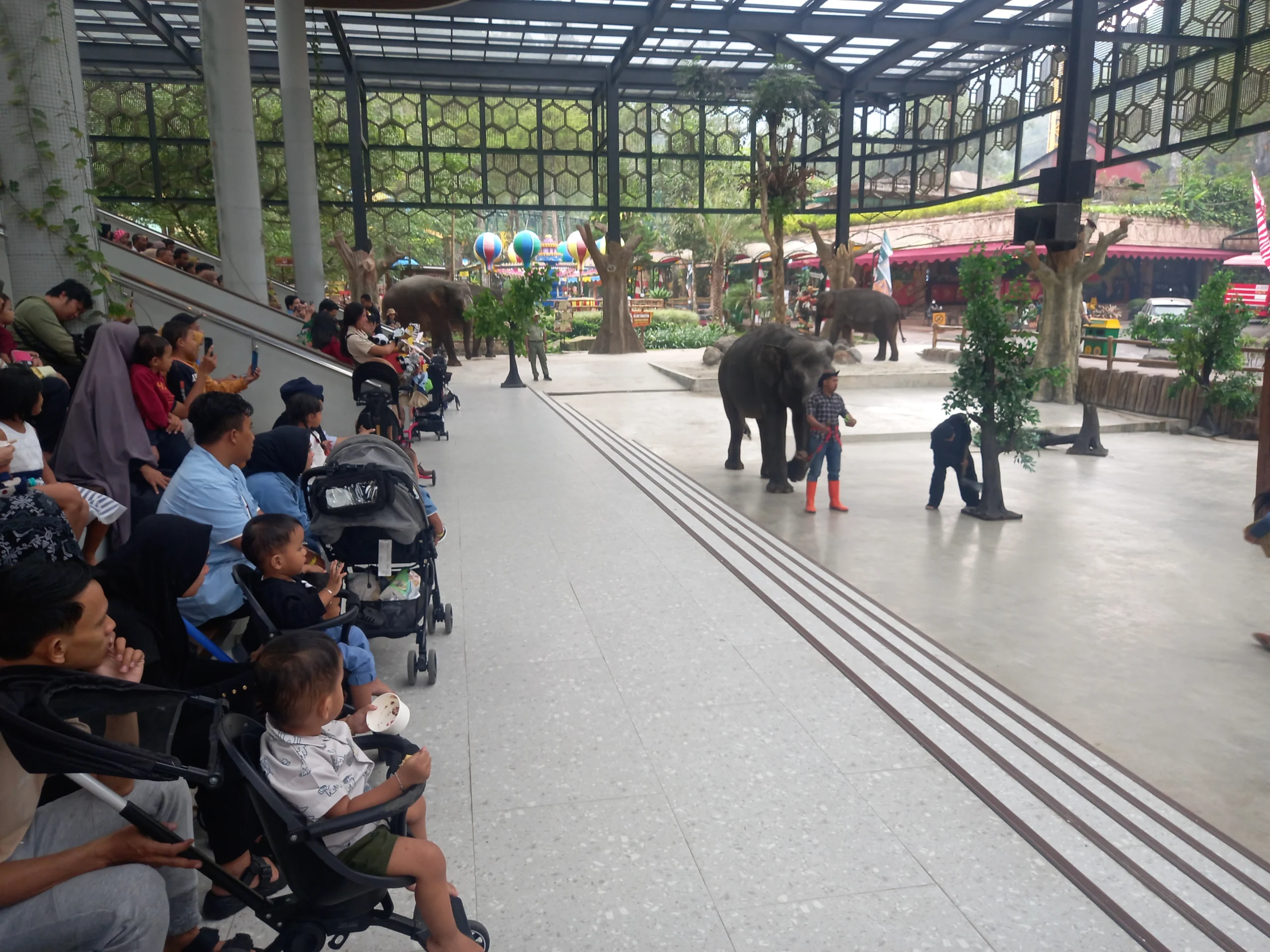 World Elephant Day 2023, Taman Safari Bogor Ajak Pengunjung Lestarikan Hutan dan Lindungi Gajah Lewat Teater