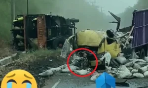 Tangkapan layar video balita selamat dari kecelakaan truk. (Tiktok @@ardylintas35 )