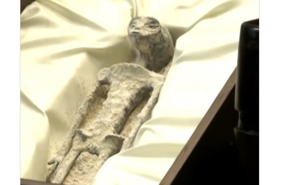 Penampakan temuan 2 objek yang diklaim sebagai fosil alien di Meksiko.