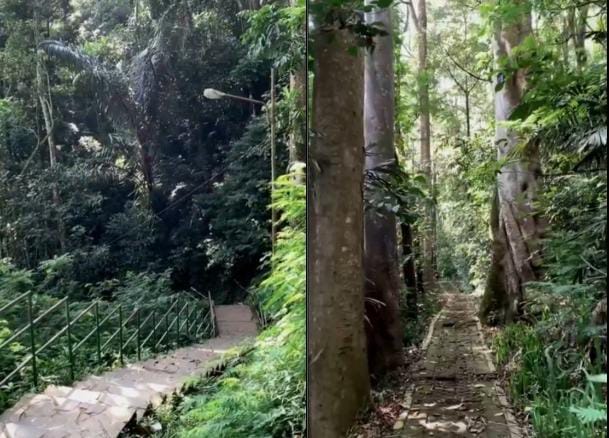 Taman Hutan Raya merupakan salah satu lokasi taman di Bandung yang dikenal angker. (Instagram @tahuraofficial)