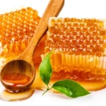 Ilustrasi madu dengan kualitas terbaik yang ada di Indonesia. (freepik)