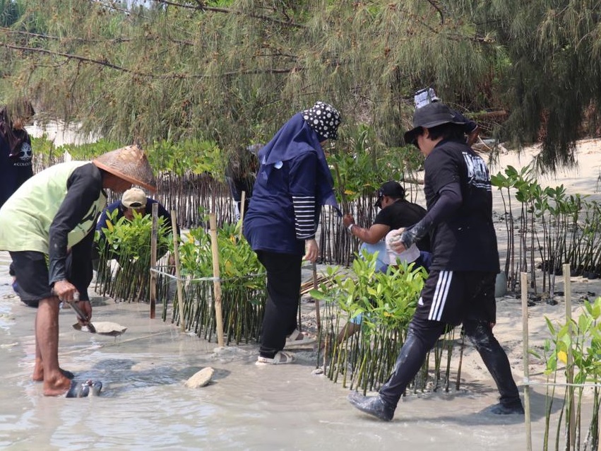 BRI telah sukses melakukan penanaman puluhan ribu pohon Mangrove di berbagai pesisir pantai yang ada di Indonesia.
