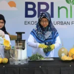 BRInita adalah program yang digagas BRI untuk mengajak masyarakat untuk lestarikan lingkungan yang dilksanakan di kawasan padat penduduk.