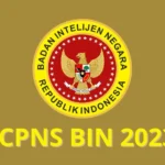 CPNS BIN 2023