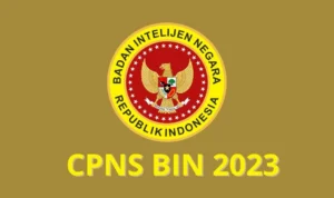 CPNS BIN 2023