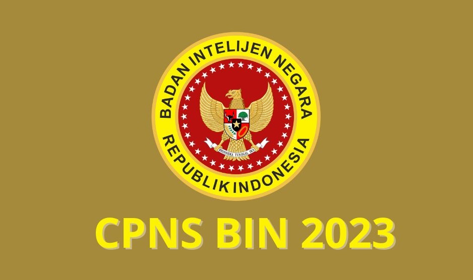 CPNS BIN 2023
