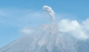 Gunung Semeru Muntahkan Abu Setinggi 700 Meter (PVMBG)