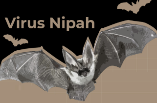 Ancaman Wabah Virus Nipah