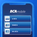 Mbanking BCA Error, Kini Sudah Normal Kembali/ Tangkap Layar Google Play Store