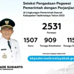 Formasi PPPK 2023 Pemda Kabupaten Tasikmalaya/ Instagram @sscasn.tasikkab
