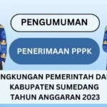 Formasi PPPK Kabupaten Sumedang 2023 Sudah Diumumkan, Cek Sekarang Juga/ Instagram @bkpsdmsumedang
