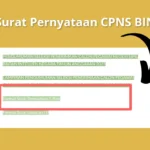 Surat Pernyataan CPNS BIN 2023/ Tangkap Layar Bin.go.id