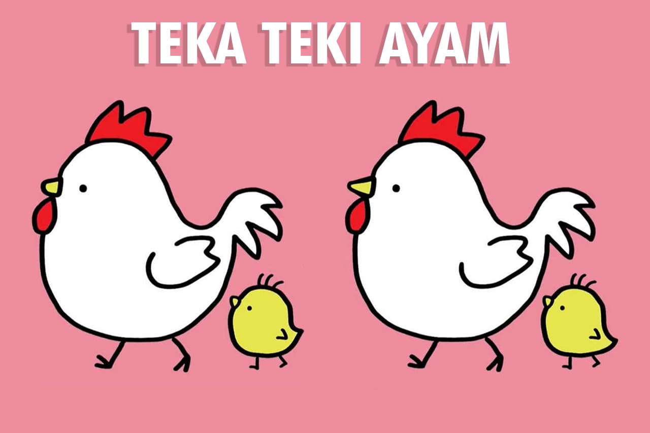 Teka Teki IQ: Temukan Tiga Perbedaan Gambar Ayam Ini Jika Bisa!