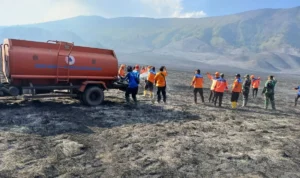 Tim gabungan melakukan proses pendinginan setelah pemadaman karhutla di kawasan Bromo Kabupaten Probolinggo, Jawa Timur. (ANTARA/HO-BPBD Probolinggo)