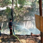 Petugas Damkar saat memadamkan kebakaran di ruang terbuka hijau di Baros Kota Cimahi. Kebakaran lahan terjadi akibat kekeringan dan pembakar sampah sembarangan./ Cecep Herdi