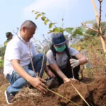 ASRI: Rektor UNPAR, Prof. Tri Basuki Joewono (kiri) saat menanam pohon di Cikamuning Bandung Barat, Sabtu 9 September 2023.