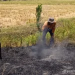 KAI Daop 3 Cirebon Himbau Masyarakat Tidak Membakar Sampah di Sekitar Jalur Kereta Api, Ini Alasannya!