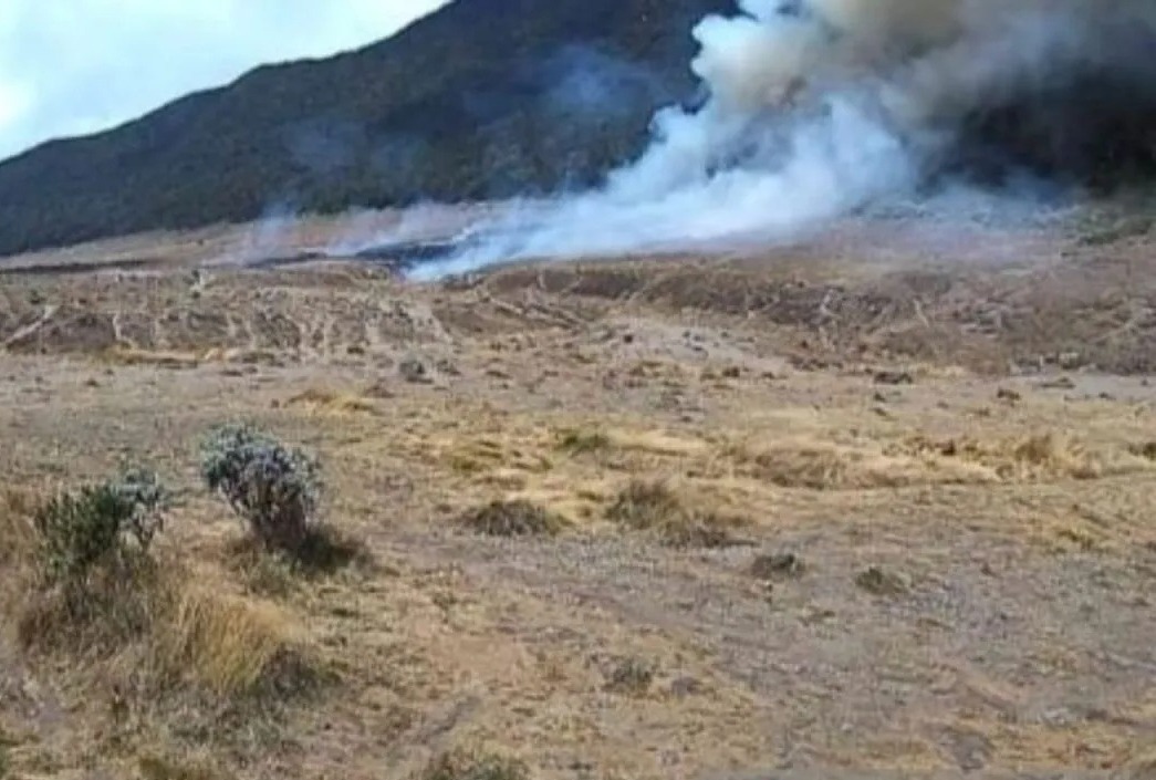 Kebakaran di Alun-alun Suryakencana Gunung Gede Pangrango, Taman Bunga Edelwis Terancam