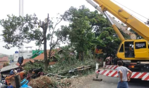 Hasil dari Kecelakaan Truk di Tanjungsari, 1 Unit Crane dan Badak 55 Diturunkan Untuk Evakuasi