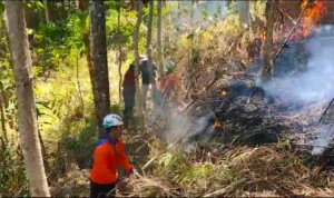 Sejumlah Petugas Disiagakan, Usai Padamkan Kebakaran di Bukit Ciloa
