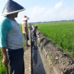 Petani di Kota Banjar, Jawa Barat menormalisasi saluran air untuk mengairi sawah mereka pada musim kemarau ini.