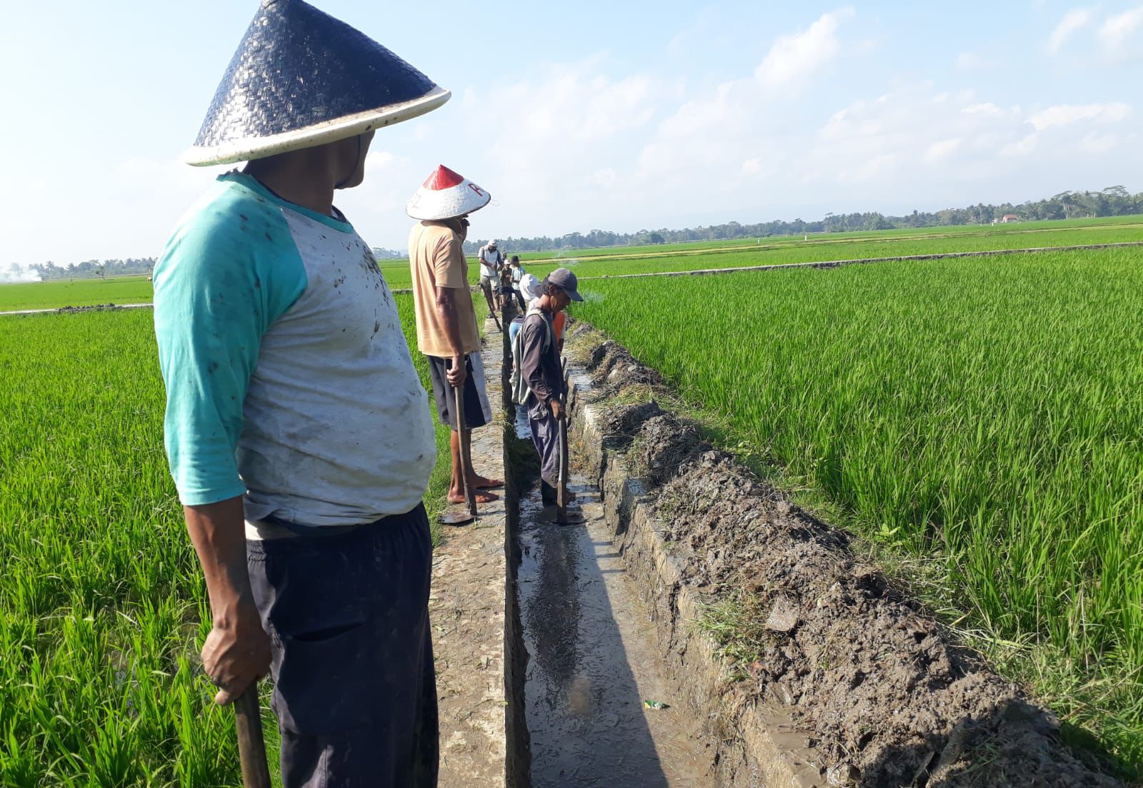 Petani di Kota Banjar, Jawa Barat menormalisasi saluran air untuk mengairi sawah mereka pada musim kemarau ini.
