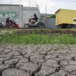 Dampak Kemarau Disertai El Nino Makin Meluas, 2 Ribu Hektare Lahan di Kabupaten Bandung Terancam Gagal Panen