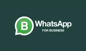 Fitur-Fitur WhatsApp Business Lengkap, Ayo Manfaatkan Sekarang Juga!