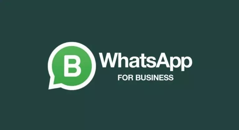 Fitur-Fitur WhatsApp Business Lengkap, Ayo Manfaatkan Sekarang Juga!