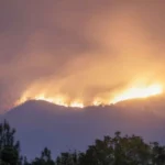 Kebakaran Gunung Bromo Sebabkan Kerugian hingga Miliaran Rupiah!