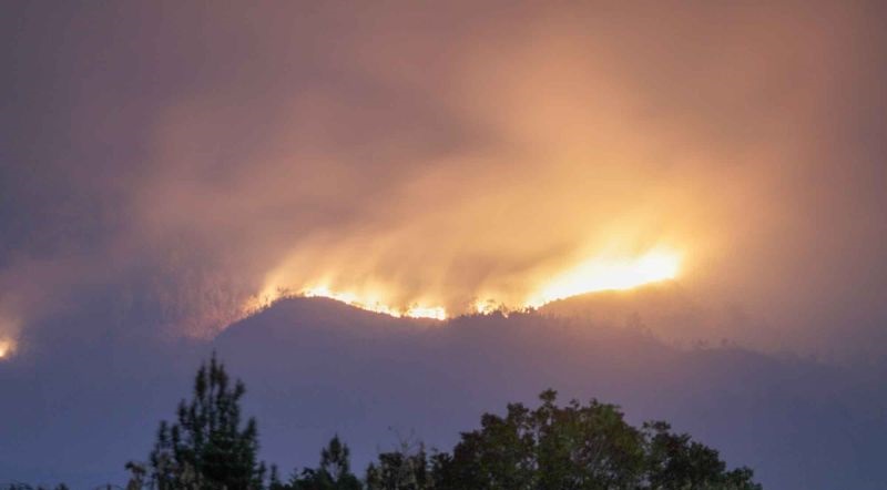 Kebakaran Gunung Bromo Sebabkan Kerugian hingga Miliaran Rupiah!