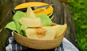 Khasiat Buah Melon dengan Berbagai Nutrisi Dapat Mengontrol