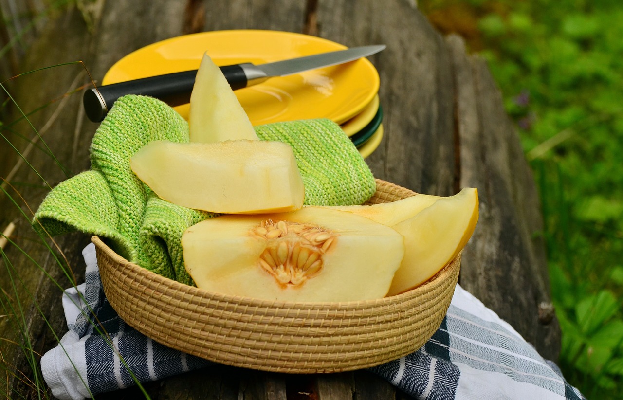 Khasiat Buah Melon dengan Berbagai Nutrisi Dapat Mengontrol