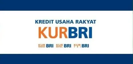 Calon TKI Bisa Ajukan Pinjaman Dana di KUR BRI 2023, Simak Yuk di Sini!