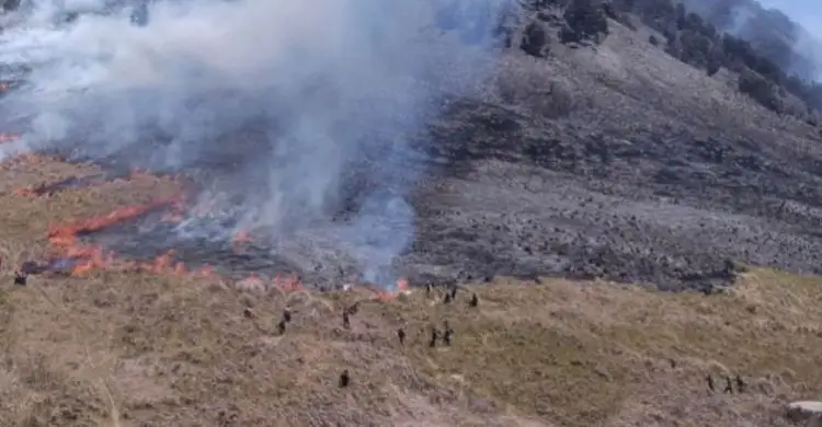 Penyelidikan Kebakaran di Bromo Diambil Alih oleh Polda Jawa Timur (Istimewa)