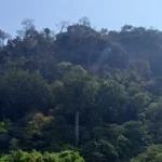 BREAKING NEWS: Petugas Berhasil Kendalikan Kebakaran Lahan Gunung Jayanti Sukabumi, Asap Putih Masih Terlihat Mengepul